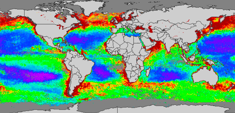 Particulate Organic Carbon Image