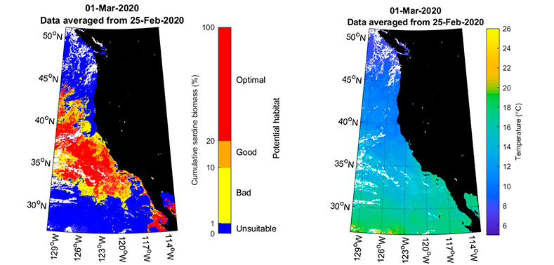 Sardine Potential Habitat Image